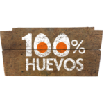 25hszd_Mesa de trabajo 1-01